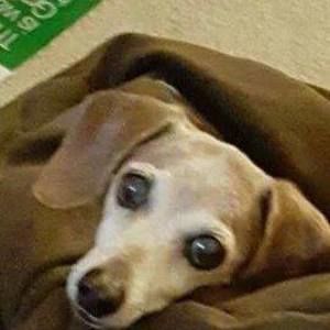 Meet your Posher, Terri